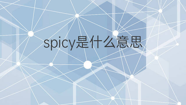 spicy是什么意思 spicy的中文翻译、读音、例句