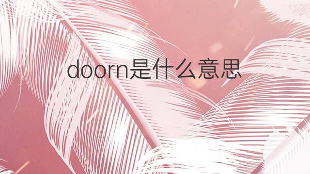 doorn是什么意思 doorn的中文翻译、读音、例句