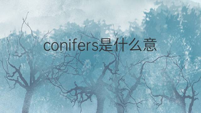 conifers是什么意思 conifers的中文翻译、读音、例句
