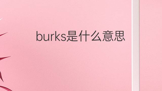 burks是什么意思 英文名burks的翻译、发音、来源