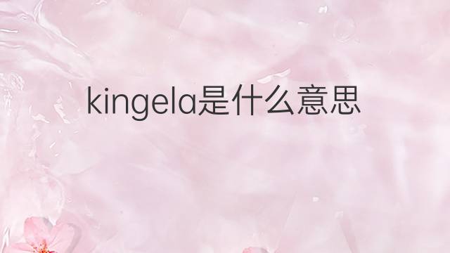 kingela是什么意思 kingela的中文翻译、读音、例句