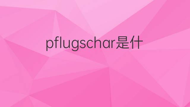 pflugschar是什么意思 pflugschar的中文翻译、读音、例句