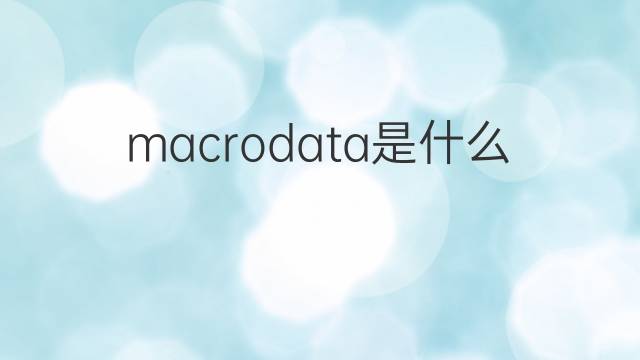 macrodata是什么意思 macrodata的中文翻译、读音、例句
