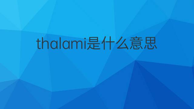 thalami是什么意思 thalami的翻译、读音、例句、中文解释