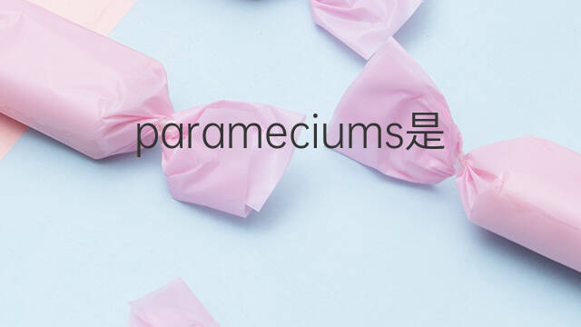 parameciums是什么意思 parameciums的中文翻译、读音、例句