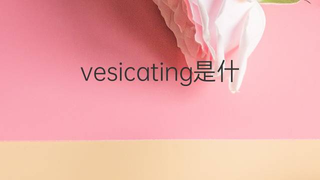 vesicating是什么意思 vesicating的中文翻译、读音、例句
