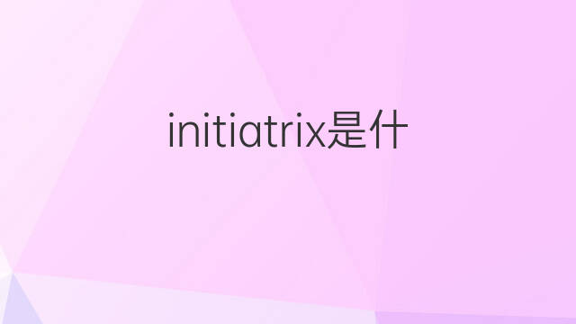 initiatrix是什么意思 initiatrix的中文翻译、读音、例句