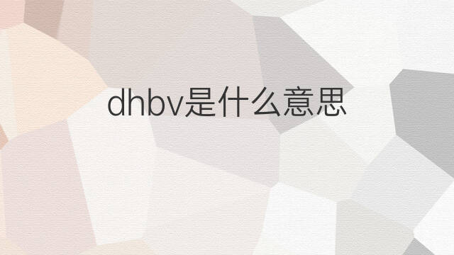 dhbv是什么意思 dhbv的中文翻译、读音、例句