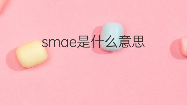 smae是什么意思 smae的中文翻译、读音、例句