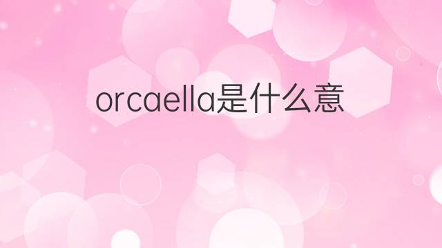 orcaella是什么意思 orcaella的中文翻译、读音、例句