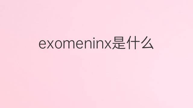 exomeninx是什么意思 exomeninx的中文翻译、读音、例句