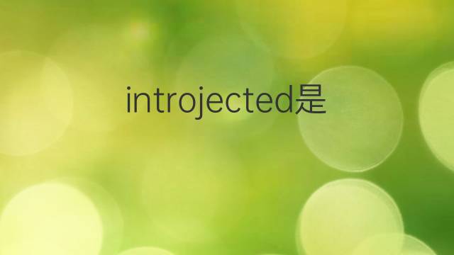 introjected是什么意思 introjected的翻译、读音、例句、中文解释