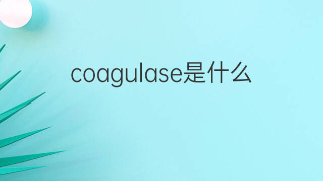 coagulase是什么意思 coagulase的翻译、读音、例句、中文解释