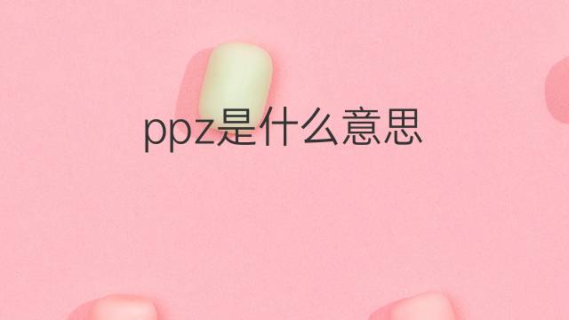 ppz是什么意思 ppz的翻译、读音、例句、中文解释