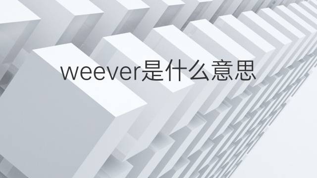 weever是什么意思 weever的翻译、读音、例句、中文解释