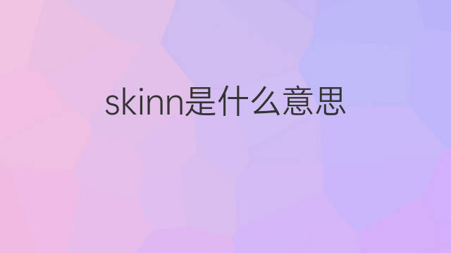 skinn是什么意思 skinn的翻译、读音、例句、中文解释