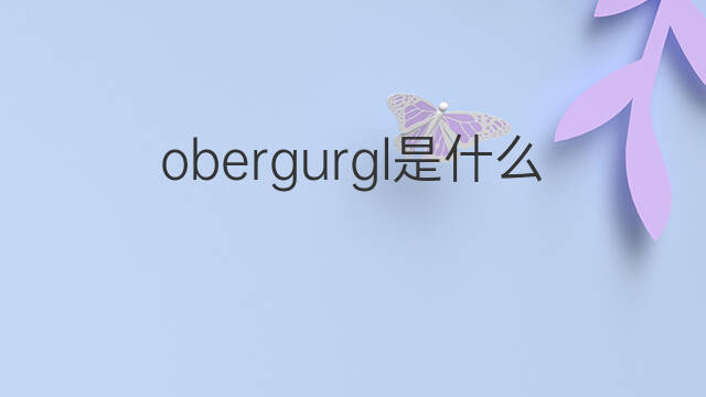 obergurgl是什么意思 obergurgl的翻译、读音、例句、中文解释