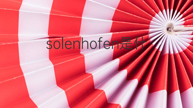 solenhofen是什么意思 solenhofen的翻译、读音、例句、中文解释