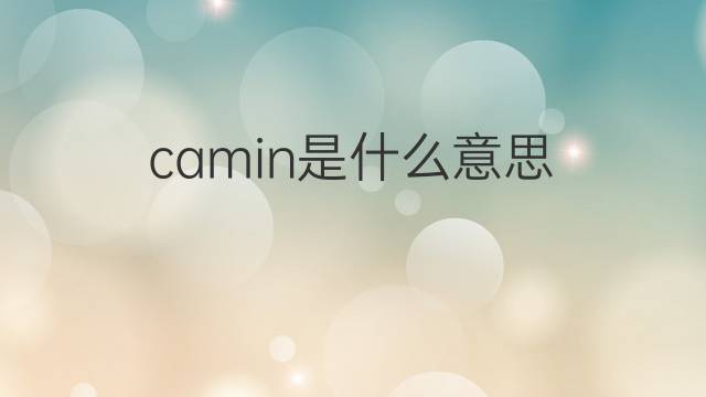 camin是什么意思 camin的翻译、读音、例句、中文解释