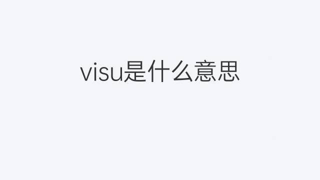 visu是什么意思 visu的翻译、读音、例句、中文解释