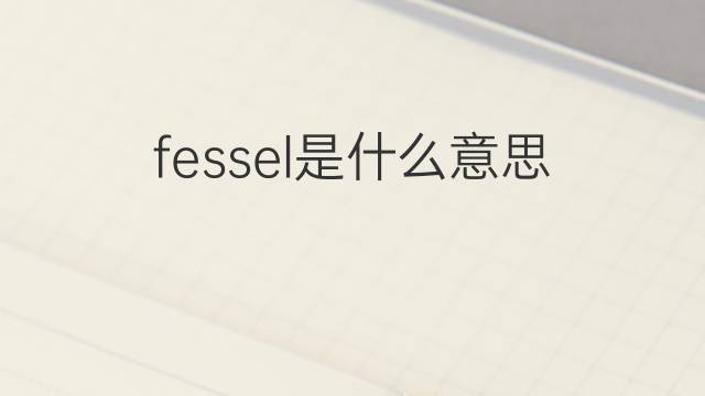 fessel是什么意思 fessel的翻译、读音、例句、中文解释