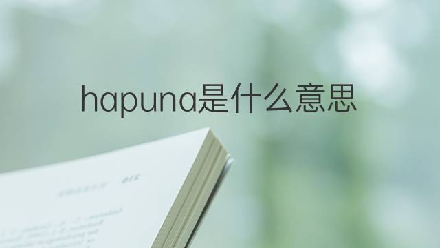 hapuna是什么意思 hapuna的翻译、读音、例句、中文解释