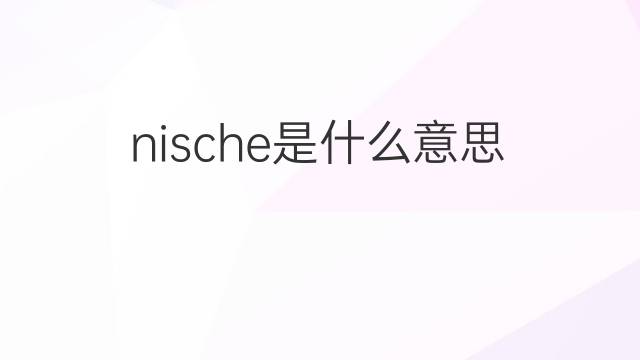 nische是什么意思 nische的翻译、读音、例句、中文解释