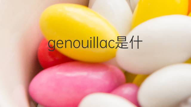 genouillac是什么意思 genouillac的翻译、读音、例句、中文解释