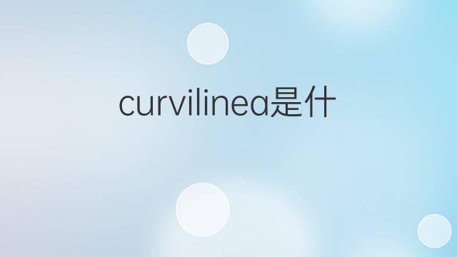 curvilinea是什么意思 curvilinea的翻译、读音、例句、中文解释