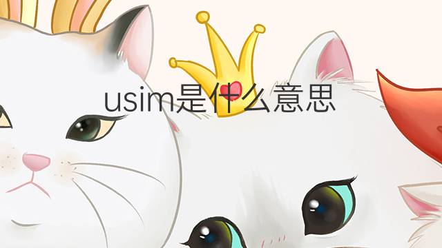 usim是什么意思 usim的翻译、读音、例句、中文解释