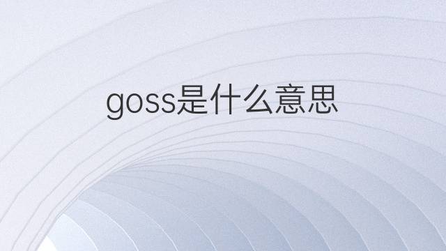 goss是什么意思 goss的翻译、读音、例句、中文解释