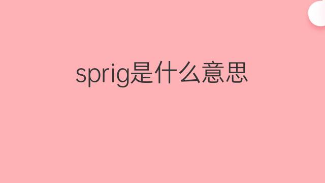 sprig是什么意思 sprig的翻译、读音、例句、中文解释