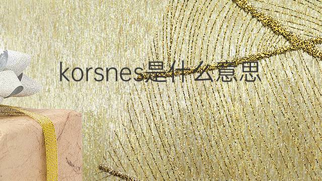 korsnes是什么意思 korsnes的翻译、读音、例句、中文解释