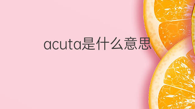 acuta是什么意思 acuta的翻译、读音、例句、中文解释