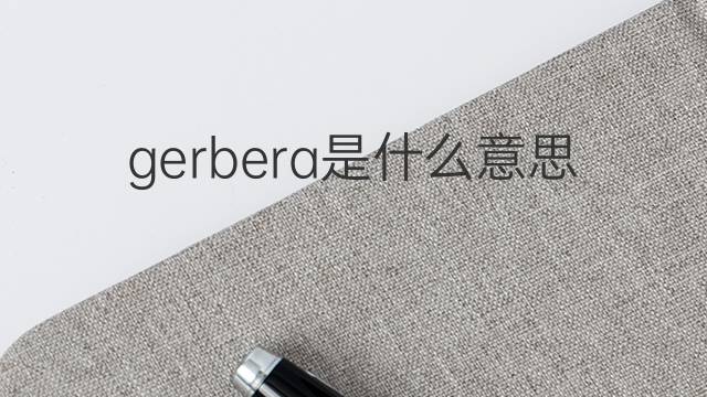 gerbera是什么意思 gerbera的翻译、读音、例句、中文解释