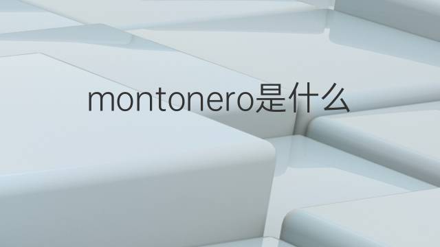 montonero是什么意思 montonero的翻译、读音、例句、中文解释