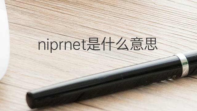 niprnet是什么意思 niprnet的翻译、读音、例句、中文解释