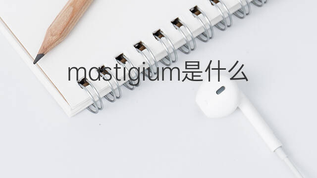 mastigium是什么意思 mastigium的翻译、读音、例句、中文解释