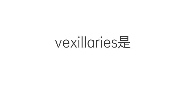 vexillaries是什么意思 vexillaries的翻译、读音、例句、中文解释