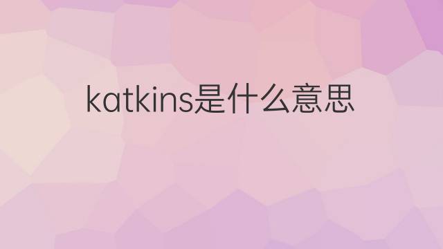 katkins是什么意思 katkins的翻译、读音、例句、中文解释