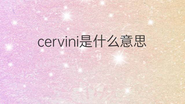 cervini是什么意思 cervini的翻译、读音、例句、中文解释