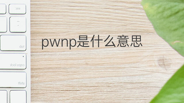 pwnp是什么意思 pwnp的翻译、读音、例句、中文解释