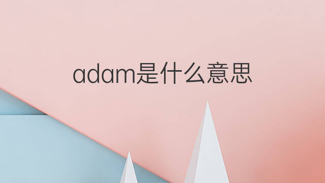 adam是什么意思 adam的翻译、读音、例句、中文解释