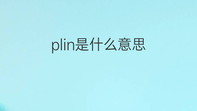 plin是什么意思 plin的翻译、读音、例句、中文解释