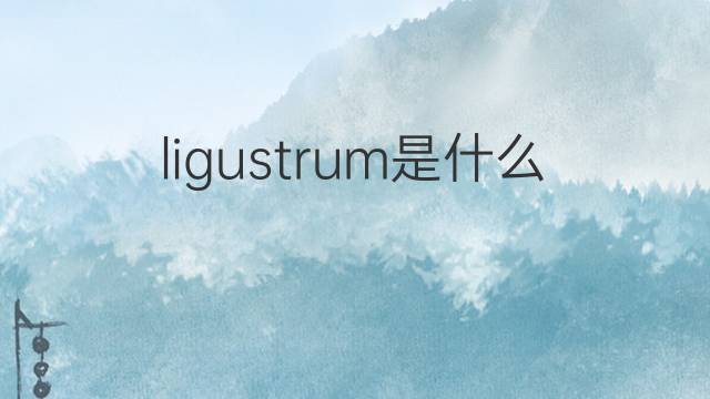 ligustrum是什么意思 ligustrum的翻译、读音、例句、中文解释