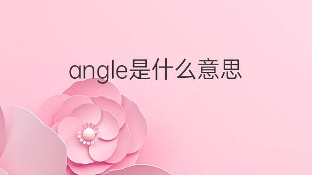 angle是什么意思 angle的翻译、读音、例句、中文解释