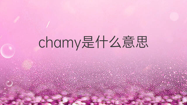 chamy是什么意思 chamy的翻译、读音、例句、中文解释