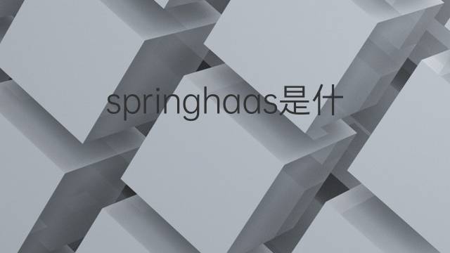 springhaas是什么意思 springhaas的翻译、读音、例句、中文解释