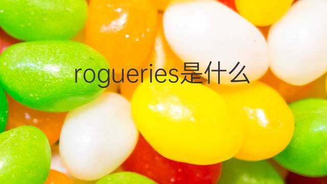 rogueries是什么意思 rogueries的翻译、读音、例句、中文解释