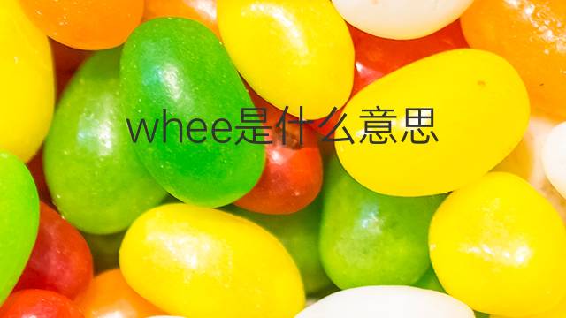 whee是什么意思 whee的翻译、读音、例句、中文解释